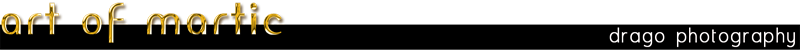 art of martic logo